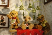 Hello Teddy 2012